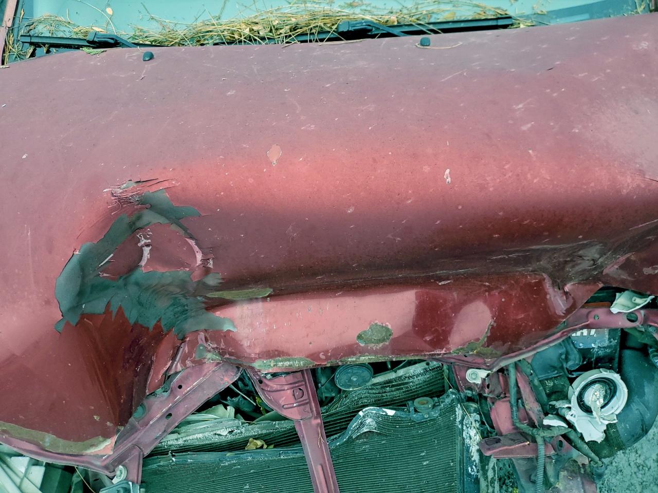 Toyota Corolla Ce Image 11