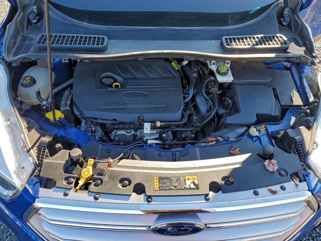 Ford Escape Se Image 12