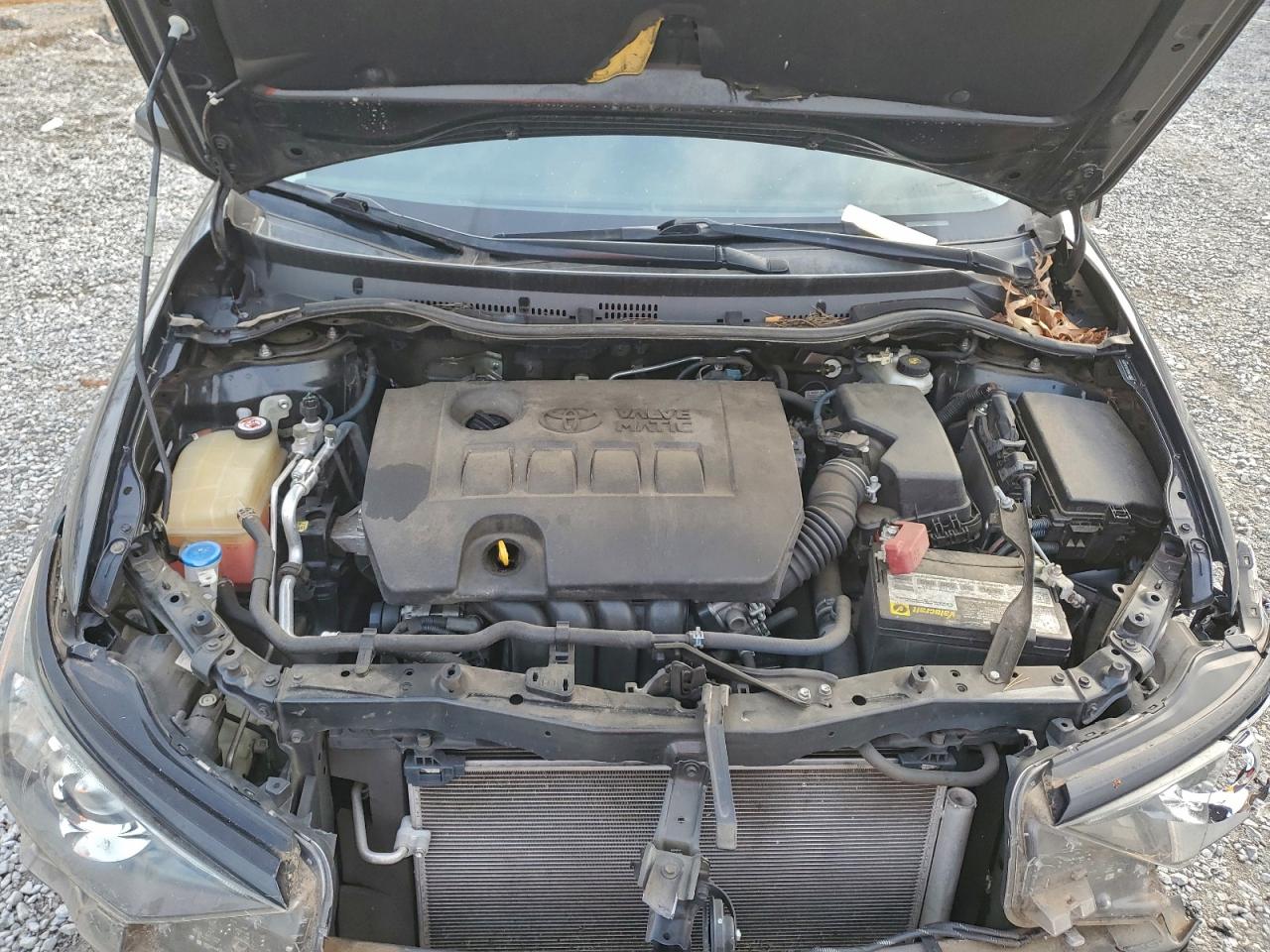 Toyota Corolla Image 8