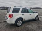 Ford Escape Xlt Image 7