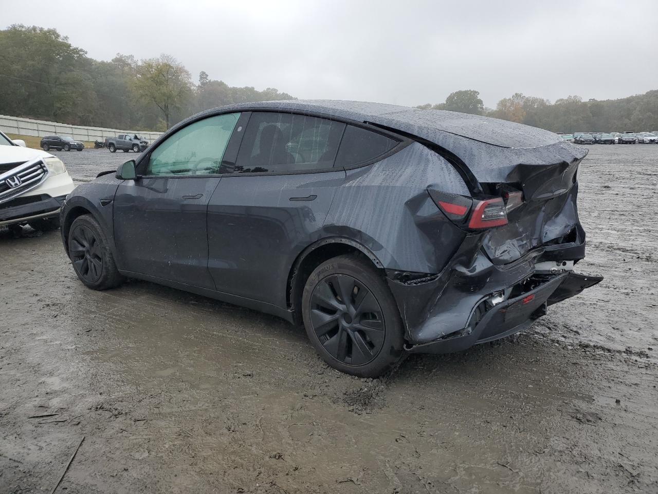Tesla Model Y Image 5