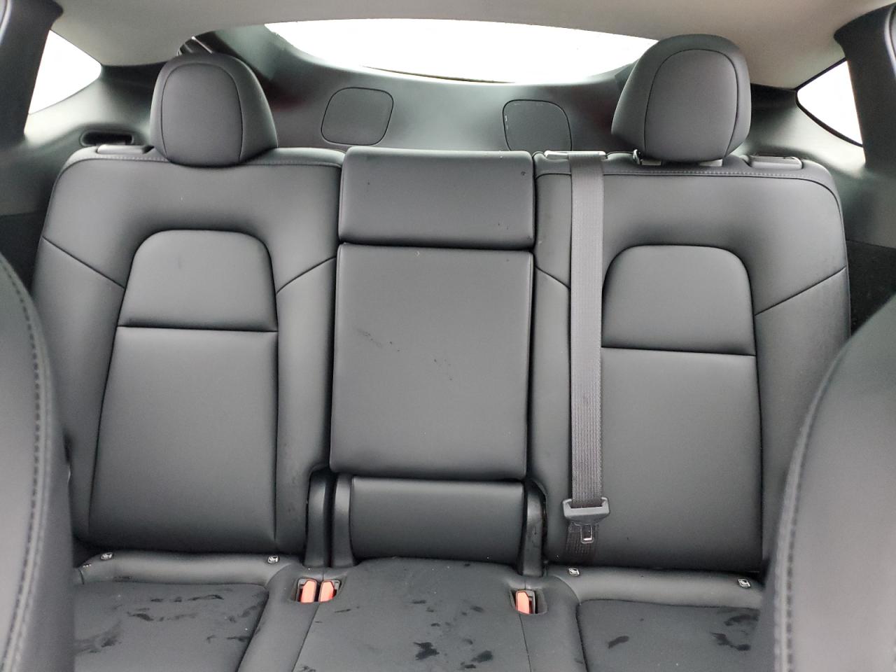 Tesla Model Y Image 11