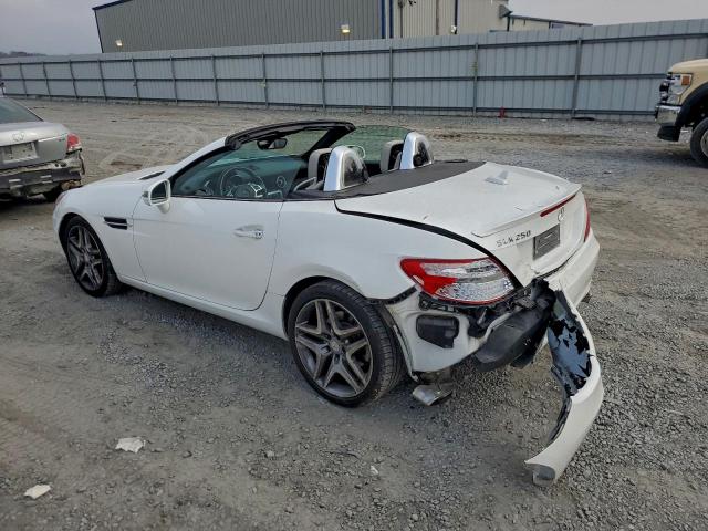 Mercedes-Benz Slk-class 250 Image 7