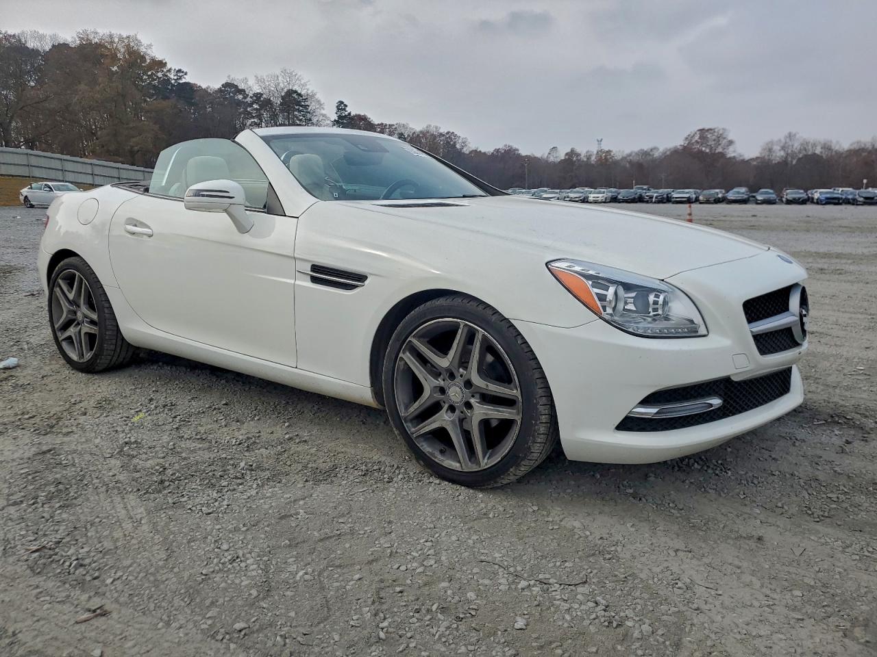 Mercedes-Benz Slk-class 250 Image 8