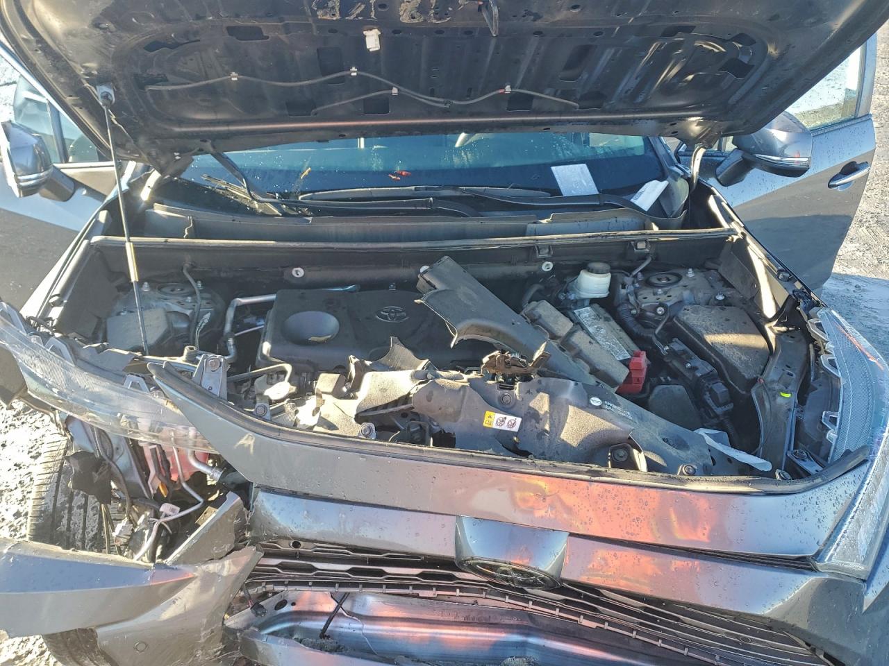 Toyota RAV4 Limited Image 7