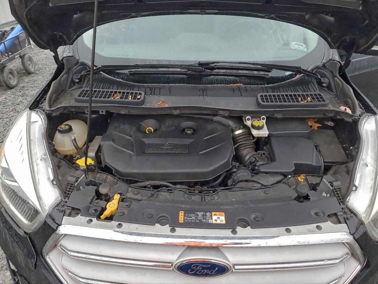 Ford Escape Titanium Image 7