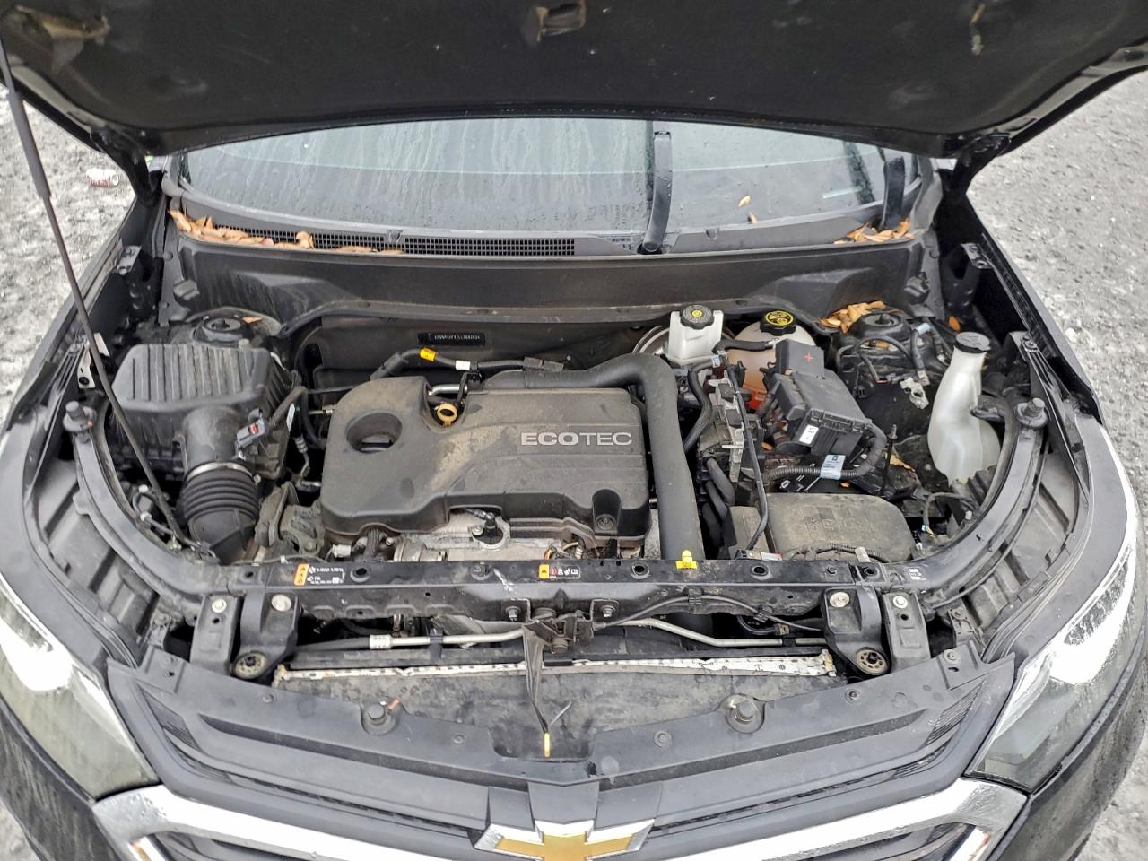 Chevrolet Equinox Lt Image 12